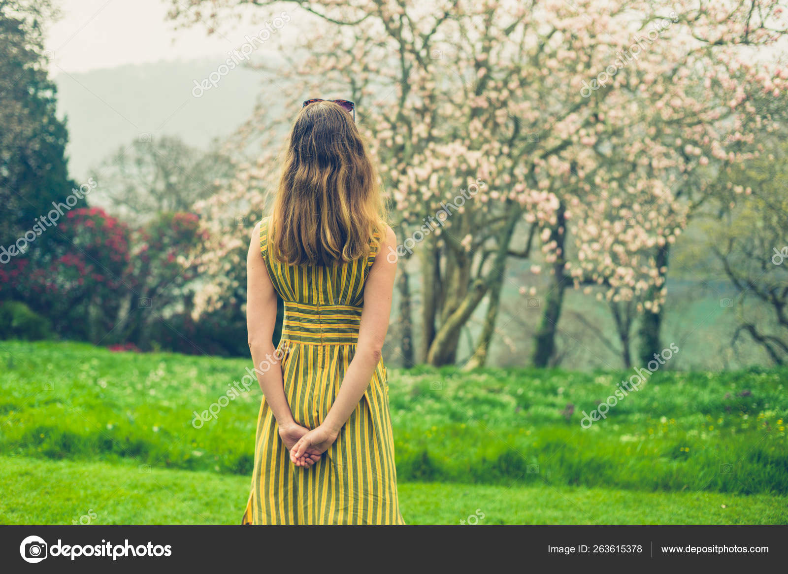 Rear View Woman Standing Natural Scene Blooming Trees Stock