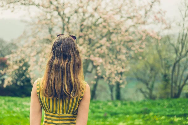 妇女站在自然场景的后视图由开花的树木 — 图库照片