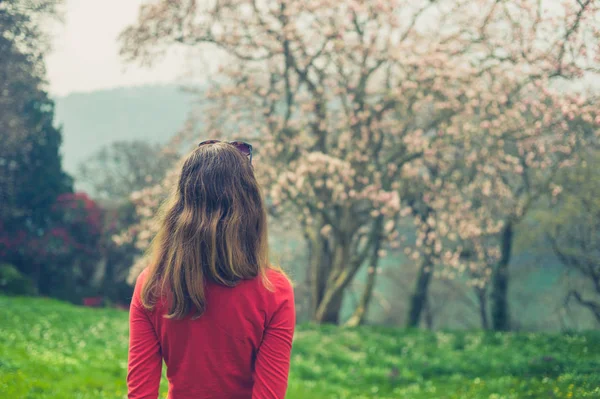 Achteraanzicht Van Vrouw Staande Natuurlijke Scène Door Bloeiende Bomen — Stockfoto