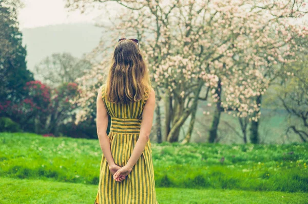 Rear View Woman Standing Natural Scene Blooming Trees — Stock Photo, Image