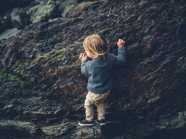 Little Toddler Climbing Rocks Beach — Stock Photo, Image