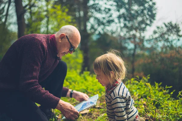 유아와 할아버지가 숲에서지도를 공부하고있다 — 스톡 사진