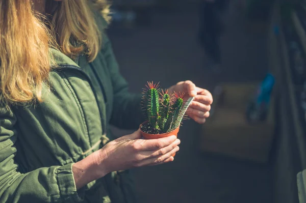 Una Giovane Donna Sta Guardando Cactus Giardino — Foto Stock