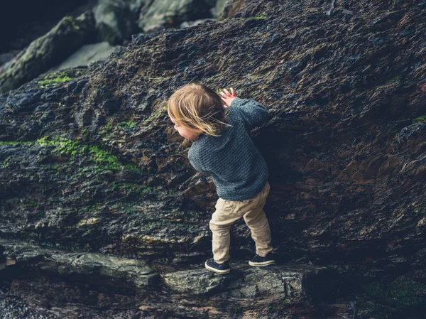 Little Toddler Climbing Rocks Beach — Stock Photo, Image