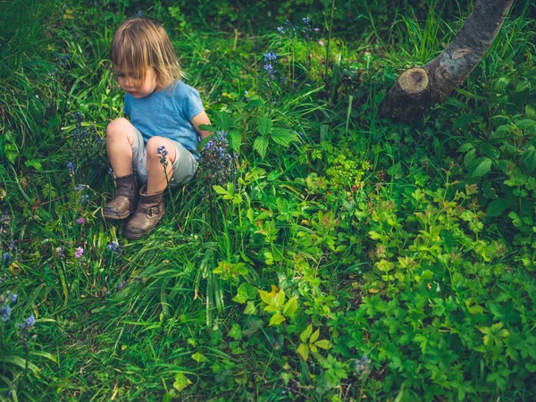 Petit Bambin Est Assis Dans Jardin Avec Des Bluebells — Photo