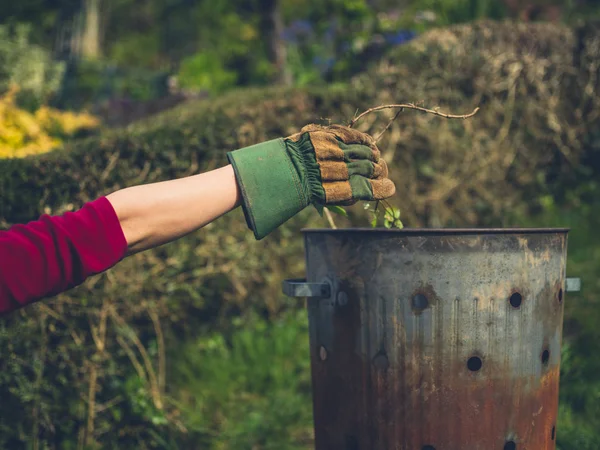 Uma Mulher Usando Uma Luva Jardinagem Está Colocando Ervas Daninhas — Fotografia de Stock