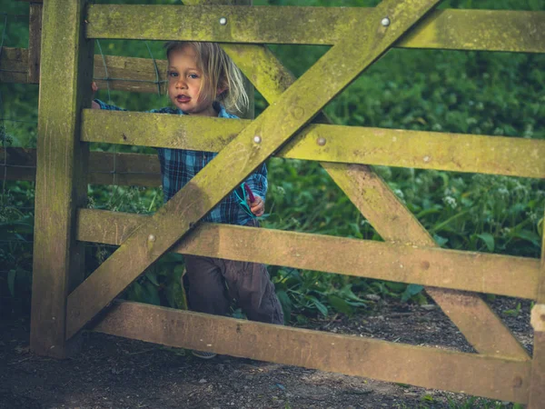 小さな幼児は森の中で木製の門を開いています — ストック写真