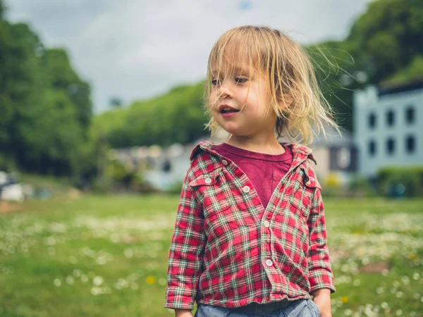 Pequeño Niño Está Pie Sobre Hierba Rodeado Margaritas Verano — Foto de Stock