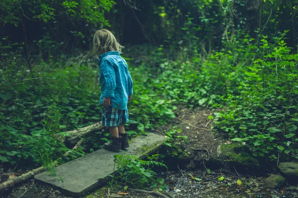 Ett Litet Barn Går Skogen Med Liten Bäck — Stockfoto