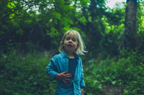 Petit Bambin Tient Dans Les Bois — Photo
