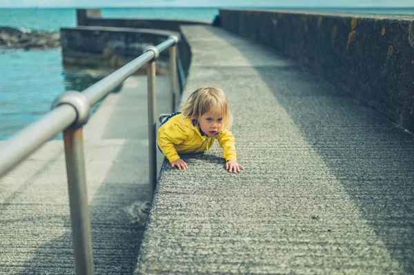 Yaz Aylarında Deniz Tarafından Beton Iskelede Sürünerek Küçük Toddler — Stok fotoğraf