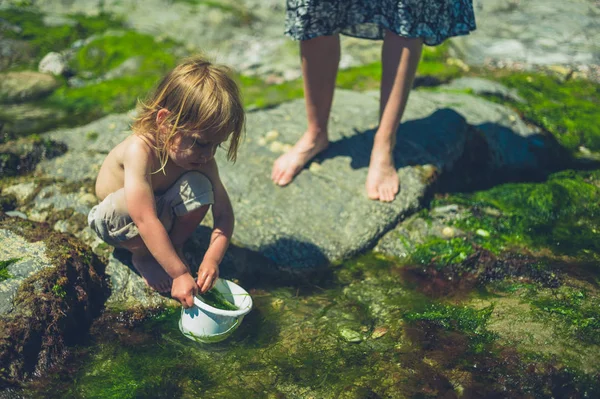 Little Toddler Filling Bucket Water Beach His Mother — Stock Photo, Image