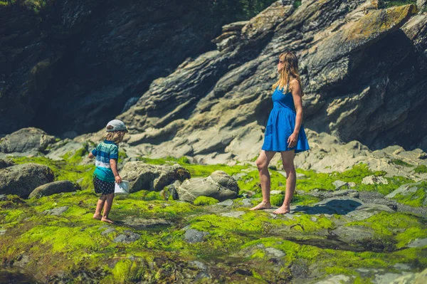 若い母親は晴れた夏の日に彼女の幼児と岩のビーチを歩いています — ストック写真