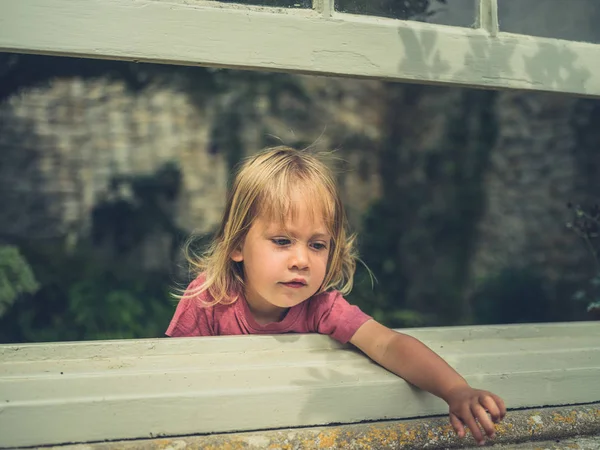 Little Toddler Looking Out Window Conservatory Summer — Stock Photo, Image