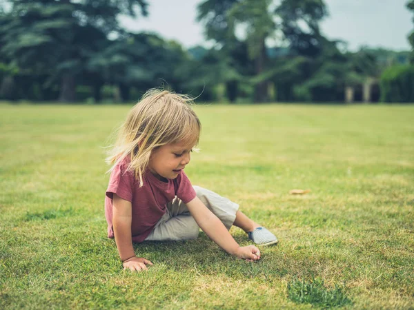 Little Toddler Sitting Grass Park — Stock Photo, Image