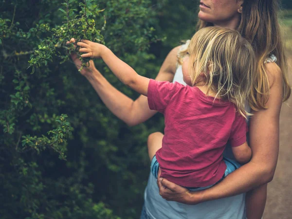 Uma Mãe Uyoung Seu Toddler Estão Tocando Folhas Arbusto Natureza — Fotografia de Stock