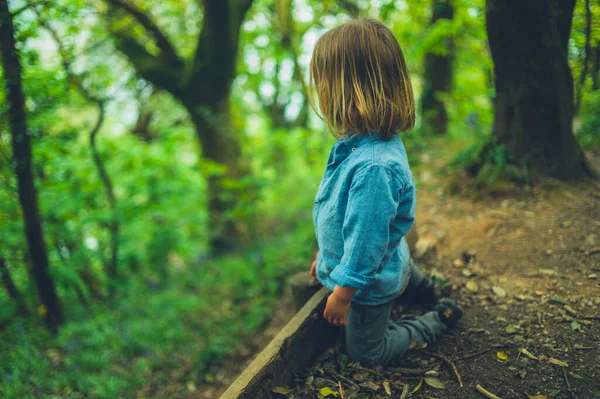 Маленький Дошкольник Отдыхает Лесу Весной — стоковое фото