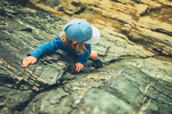 Little Preschooler Boy Climbing Rocks Nature — Stock Photo, Image