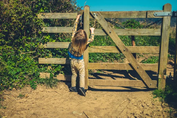 Pequeno Pré Escolar Está Abrindo Portão Madeira Natureza — Fotografia de Stock