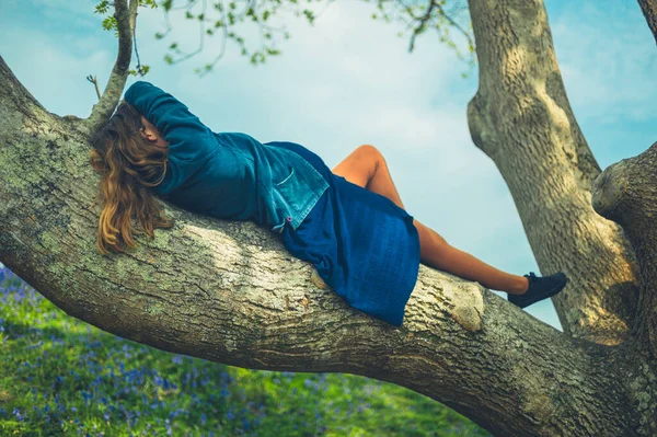 一个年轻的孕妇躺在一棵灰树的枝头上 — 图库照片
