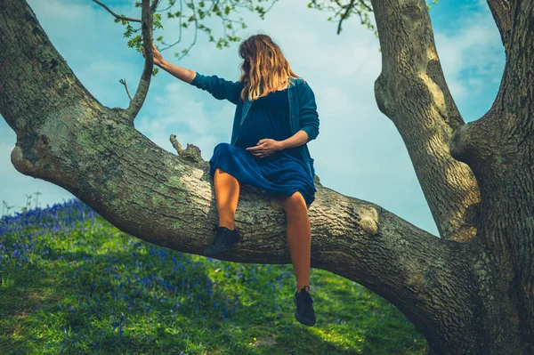 Hamile Bir Kadın Güneşli Bir Bahar Gününde Ağaçta Oturuyor — Stok fotoğraf