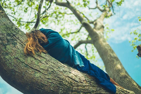 一个年轻的女人躺在一棵灰树的枝子上 — 图库照片