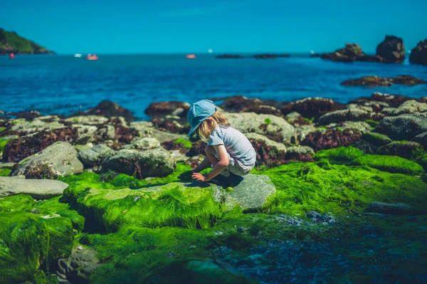 Küçük Bir Anaokulu Çocuğu Yazın Plajda Oynuyor — Stok fotoğraf