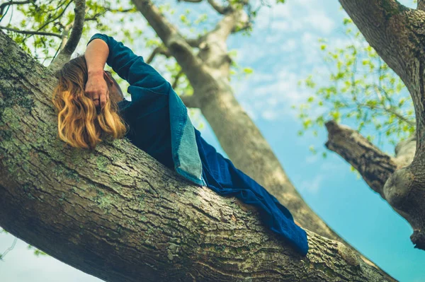 灰の木の枝に若い女性が横たわっている — ストック写真