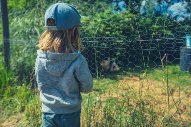 Bir anaokulu öğrencisi bir çiftliğin yanında durmuş tavuklara bakıyor.