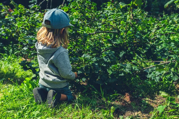 Küçük bir anaokulu öğrencisi yazın meyve çalılarının yanında yerde oturuyor.