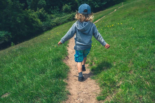 A little preschooler boy is running along a path in a field in summer