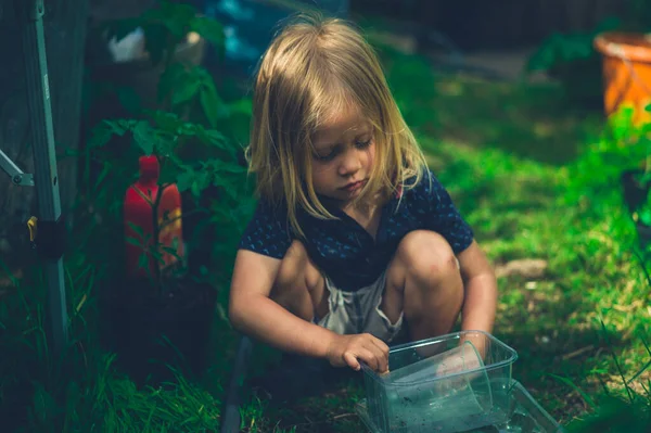 Little Preschooler Playing Garden Sunny Day — Stock Photo, Image