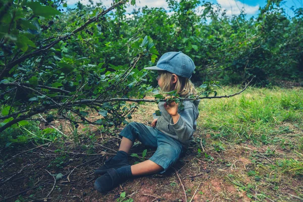 Niño Edad Preescolar Está Sentado Suelo Junto Arbusto Frutas Verano —  Fotos de Stock