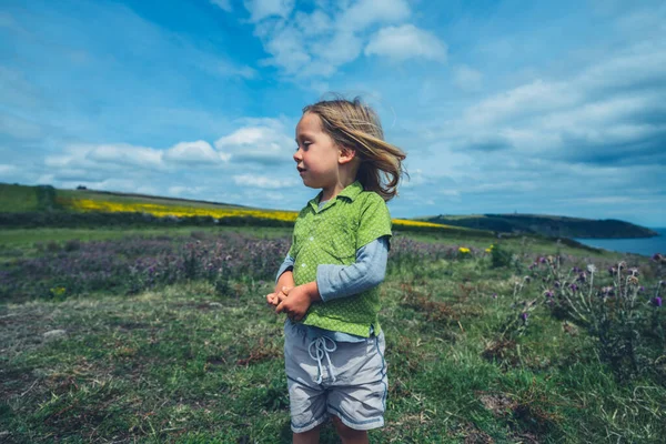 Petit Garçon Âge Préscolaire Est Debout Sur Rocher Dans Campagne — Photo