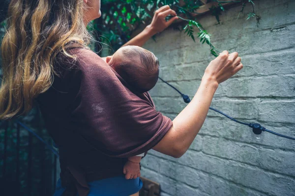 Una Joven Madre Con Bebé Cabestrillo Está Cultivando Plantas Patio — Foto de Stock