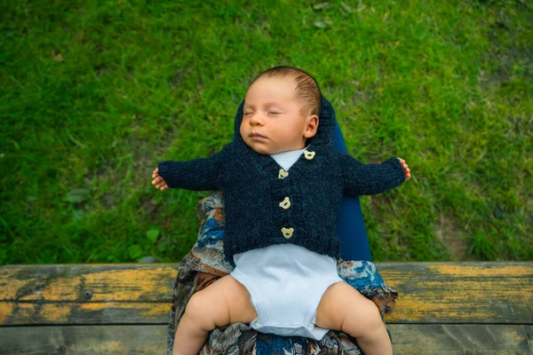 Pequeño Bebé Está Durmiendo Regazo Madres Aire Libre — Foto de Stock