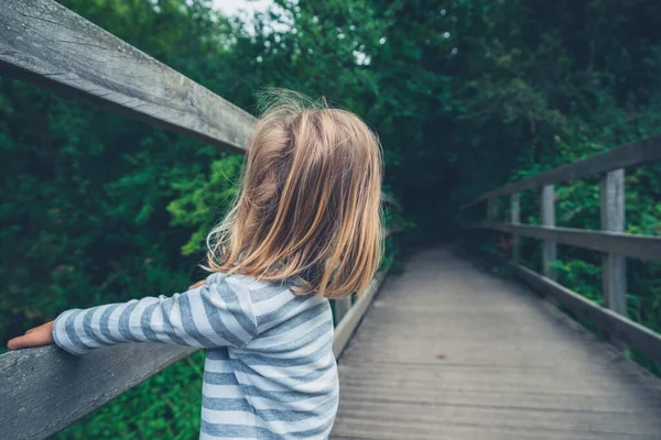 Pequeno Pré Escolar Está Parado Numa Ponte Floresta — Fotografia de Stock