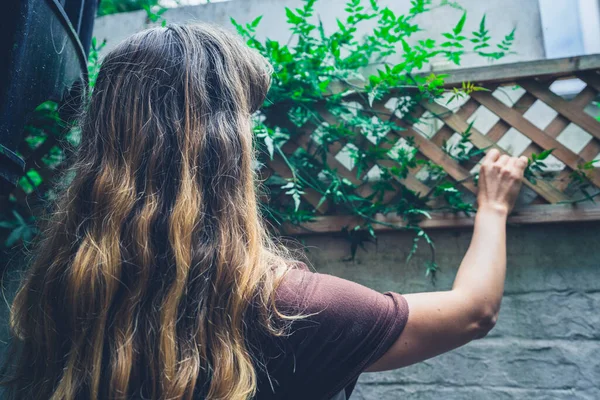 Une Jeune Femme Organise Des Plantes Dans Cour — Photo