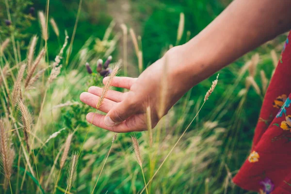 Hand Van Een Jonge Vrouw Raakt Lang Gras Aan — Stockfoto