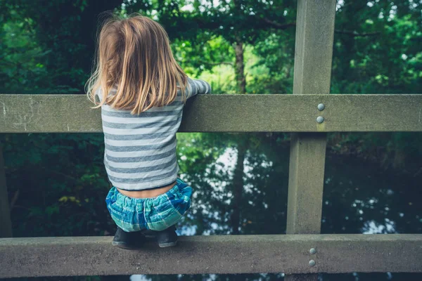 Little Preschooler Hanging Bridge Woods — Stock Photo, Image