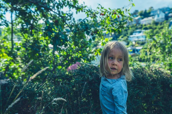 Little Preschooler Standing Hedge Garden Summer — Stock Photo, Image