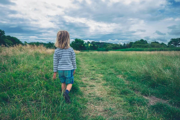 Petit Enfant Âge Préscolaire Marche Dans Une Prairie Par Jour — Photo
