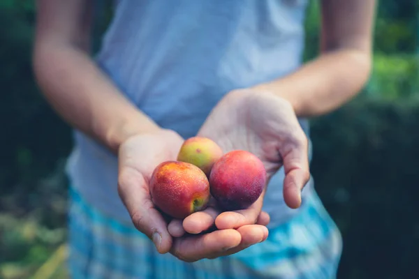 Une Jeune Femme Tient Dans Son Jardin Avec Une Poignée — Photo