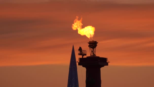 Vista Sobre Coluna Rostral Cuspo Ilha Vasilyevsky São Petersburgo Rússia — Vídeo de Stock