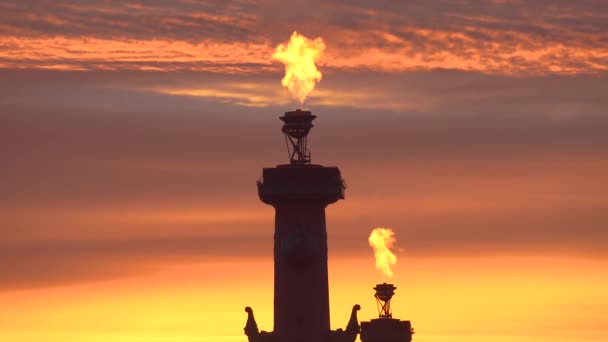 Vista Sobre Coluna Rostral Cuspo Ilha Vasilyevsky São Petersburgo Rússia — Vídeo de Stock