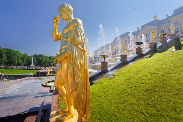 Saint Petersburg Rusya Temmuz 2018 Bölüm Grand Art Arda Sıralı — Stok fotoğraf