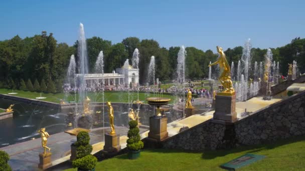 Sint Petersburg Rusland Juli 2018 Grand Trapsgewijs Perterhof Grootste Fontein — Stockvideo