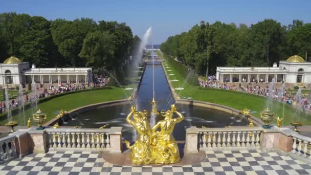 Saint Pétersbourg Russie Juillet 2018 Grande Cascade Perterhof Les Grands — Video