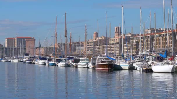 码头上的人看游泳船和城市景观 — 图库视频影像