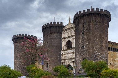 NAPLES, ITALY - NOVEMBER 05, 2018 - The medieval castle of Maschio Angioino or Castel Nuovo New Castle and the silk tree in bloom, Napoli clipart